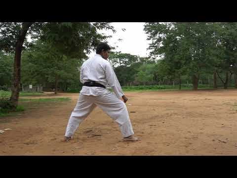 Shifting Stances || Martial Arts || Telugu || Martial Wisdom