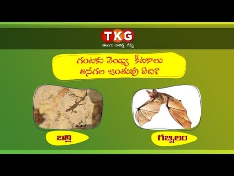 Interesting animal facts in telugu