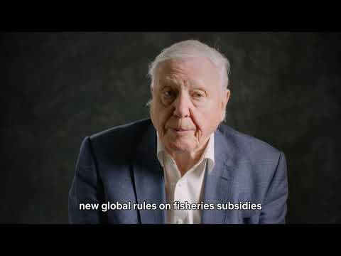 Sir David Attenborough explains why we need a new global deal to protect our oceans