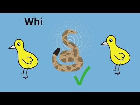 IQ Questions For Kids With Answers | Educational Video | Quiz Questions Part 14