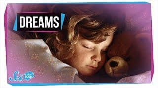 What Can You Learn from Your Dreams
