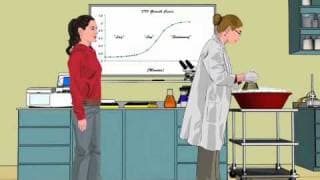 BioBuilder Animation Cell Growth