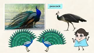 Physical traits - little things make a big difference | MightyOwl Science