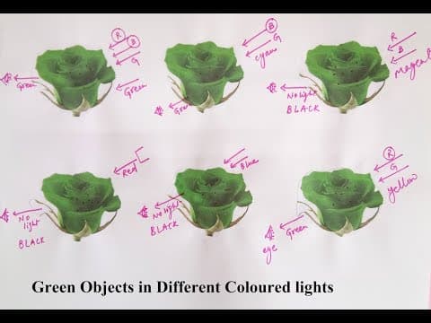 Appearance of green objects in different coloured lights