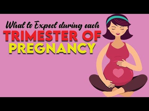 What to expect during each trimester of pregnancy