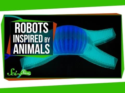 Robots Inspired By Animals