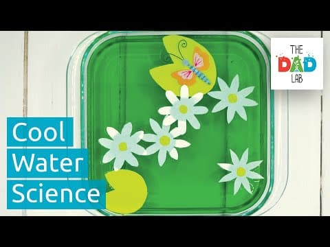 5 Awesome Water Tricks | Kids Science Experiments with Water