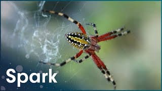 The Most Venomous Creatures In The World