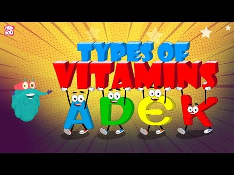 Types Of Vitamins | VITAMINS | Importance Of Vitamins