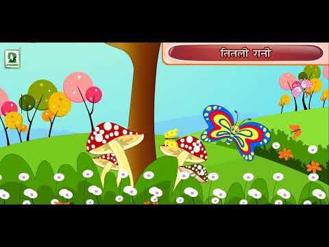 TITLI RANI - BEST NURSEY ANIMATED KIDS RHYMES VIDEO - NURSERY KIDS RHYMES - ANIMATED KIDS RHYMES