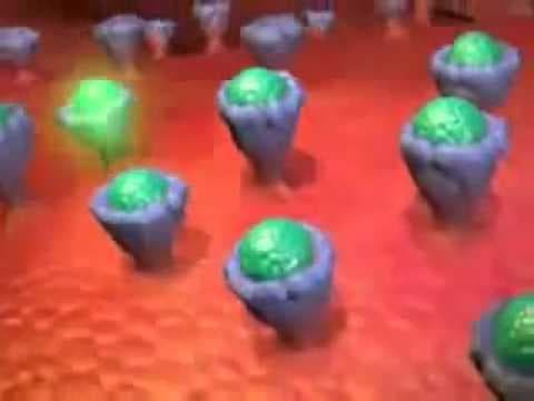 How Anithistamines Work For Allergies