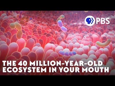 The 40 Million-Year-Old Ecosystem In Your Mouth