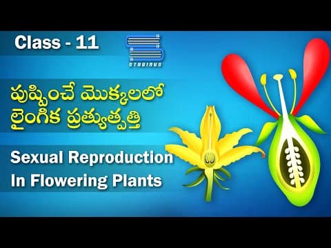 పుష్పించే మొక్కలలో లైంగిక ప్రత్యుత్పత్తి | Sexual reproduction in flowering Plants | Flower parts
