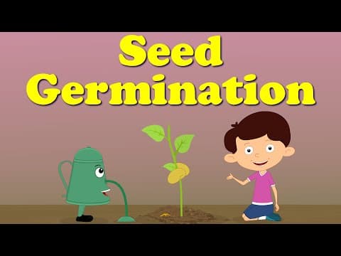 Seed germination
