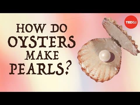 How do oysters make pearls? - Rob Ulrich - YouTube