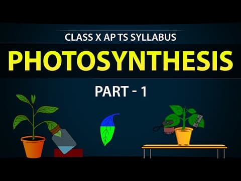 PHOTOSYNTHESIS part 1 - NUTRITION - 10th biology - Class 10th science in English medium