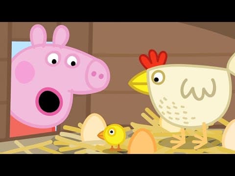 Granny Pig's Chickens and Talent Day 🐷🐔 ‪@PeppaPigOfficial‬