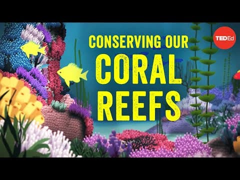 Conserving our spectacular, vulnerable coral reefs - Joshua Drew - YouTube