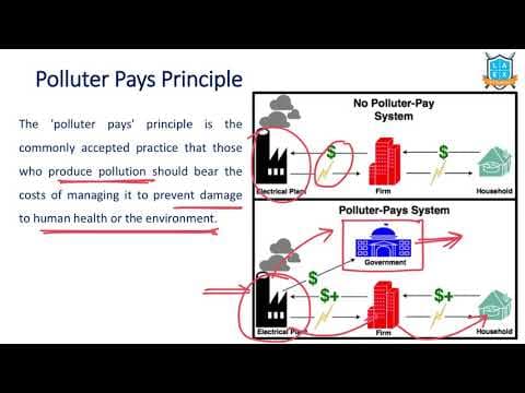 What is Polluter Pays Principle ? || Polluter Pays Principle అంటే ఏమిటి?