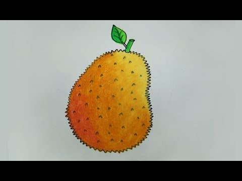 How to draw a Jackfruit easy and simple, jackfruit drawing