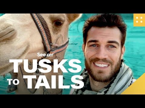 Think You Know What’s Inside a Camel’s Hump? THINK AGAIN?