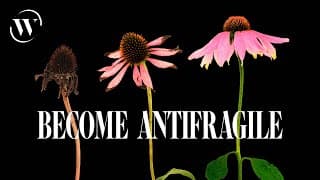 Antifragility explained by one of Harvard’s most popular teachers