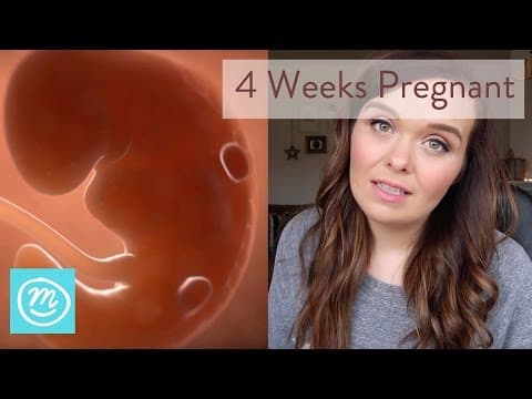 4 weeks pregnant-what you need to know-channel mum -
