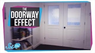 Do Doorways Actually Make Us Forget Things