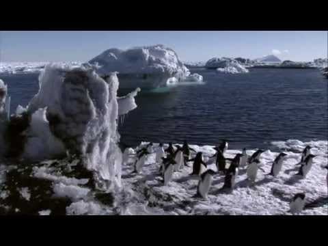Under Antarctic Ice Documentary - YouTube