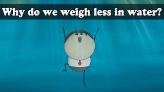 Archimedes Principle - Why do we weigh less in water? aumsum kids science education children