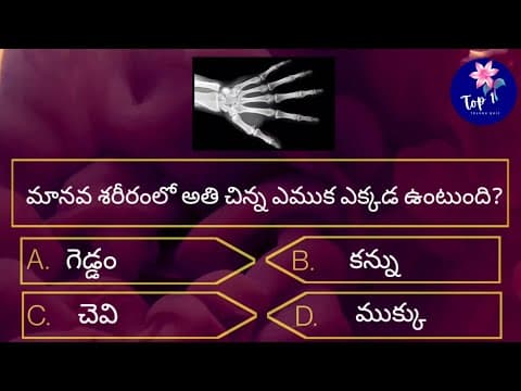 Unique questions in telugu with answers  | interesting gk questions with answers in telugu 