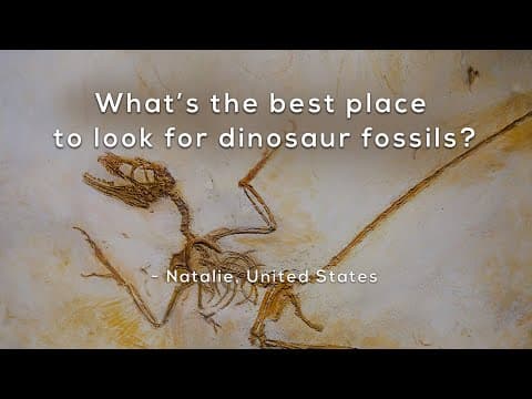 What's the best place to look for dinosaur fossils