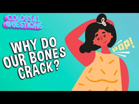Why Do Our Bones Crack Sometimes? | COLOSSAL QUESTIONS