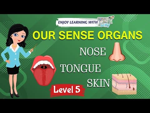 Our Sense Organs – Nose, Tongue, and Skin | Science
