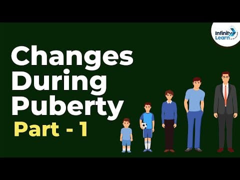 Changes during puberty - part 1 - reaching adolescence