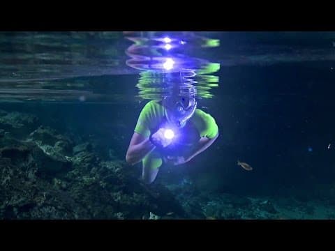 Amazing Underwater Caves | Wonders of Life w/ Prof Brian Cox