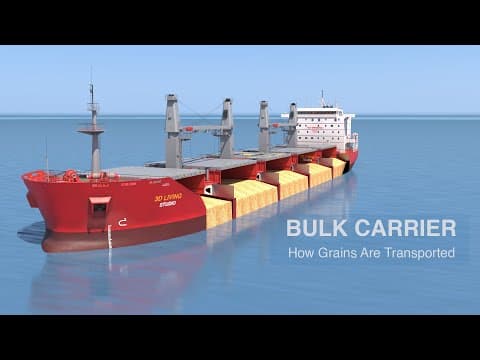How a Bulk Carrier Works – Loading, Cargo, and Design Features