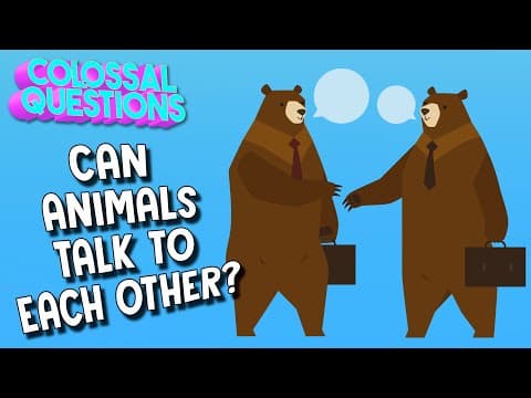 Do Animals Talk To Each Other? | Spirit Riding Free presents COLOSSAL QUESTIONS