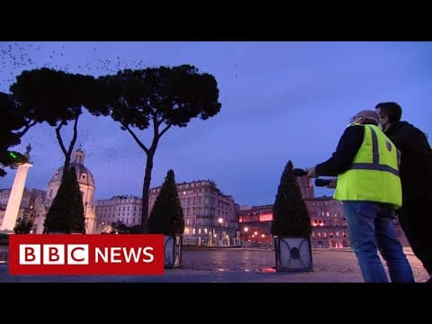 What is an Animal|Rae Wynn-Grant explains with Crash Course Zoology