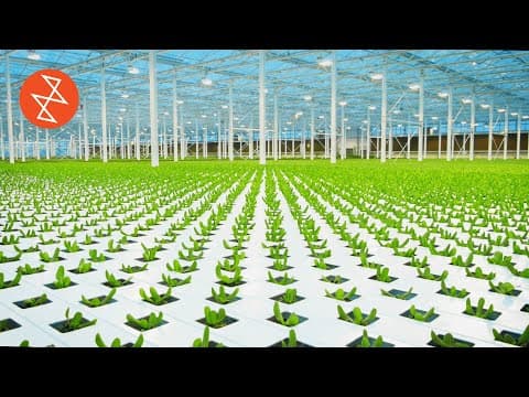 Reducing Food Waste with Urban Greenhouses🌱 Sustainability at Lufa Farms in Montreal