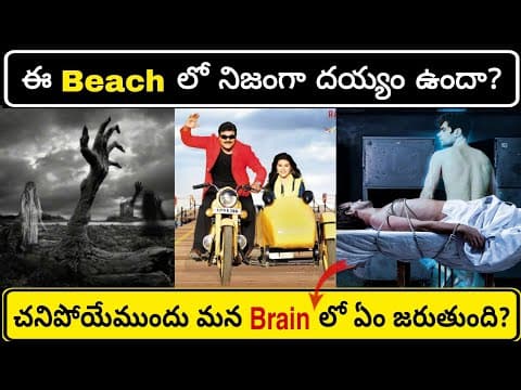 Top 20 Interesting Facts In Telugu | Episode 15 | Facts In Telugu | Telugu Facts | Facts Forever