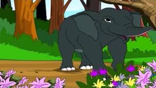 Learn Animal Body Parts - Part 1