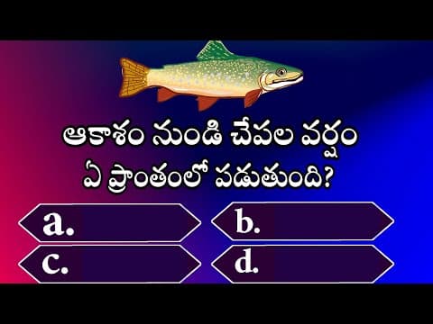 telugu interesting questions and answers 