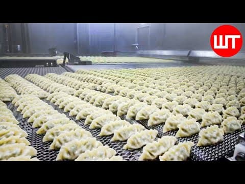 Dumplings Making Process | How Dumplings Are Made In Factory | Food Factory