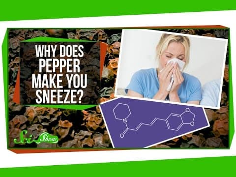 Why Does Pepper Make You Sneeze?