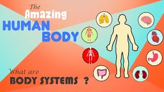 Learn About the Human Body|How Do Your Body Parts Work|Human Body Systems |Human Body Organs