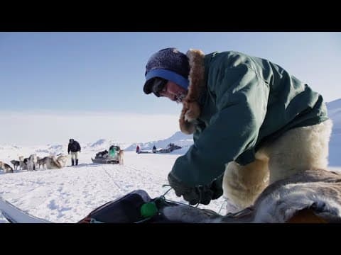 Go Dogsledding in Greenland
