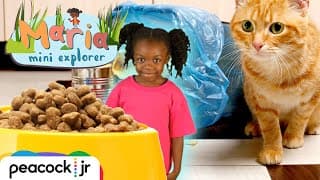 Mini Maria's Kitchen Catastrophe MARIA MINI EXPLORER