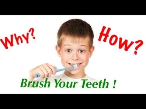 Why & how to brush your teeth ? - YouTube