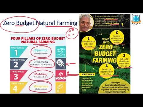 What is Zero Budget Natural Farming ? || Zero Budget Natural Farming అంటే ఏమిటి?